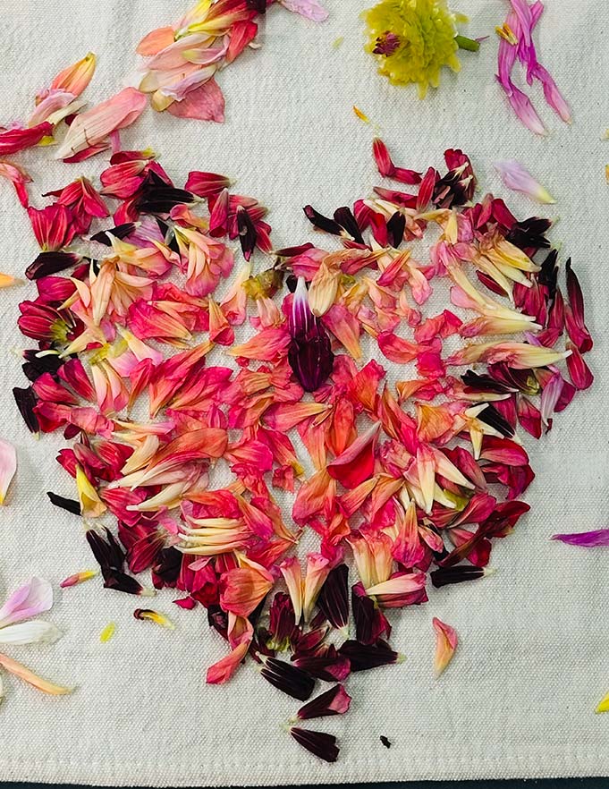 heart